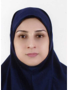 dr gholipour